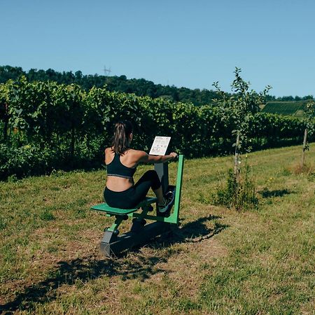 פאדנג'ה סול גארדה Agriturismo Pratello מראה חיצוני תמונה